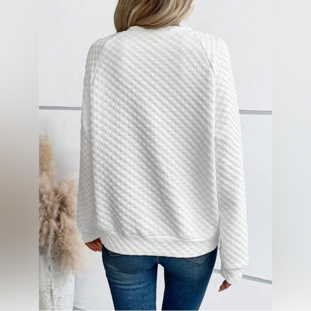 Textured Notched Raglan Sleeve Sweatshirt - Picture 3 of 9